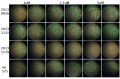 Thumbnail for version as of 11:17, 12 May 2014