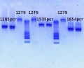 Thumbnail for version as of 15:44, 15 March 2013
