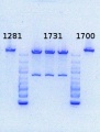 Thumbnail for version as of 12:14, 2 August 2013