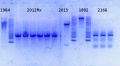 Thumbnail for version as of 14:14, 8 August 2014