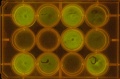 Thumbnail for version as of 19:37, 15 November 2011