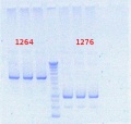 Thumbnail for version as of 16:09, 7 August 2012