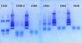 Thumbnail for version as of 18:50, 18 January 2013