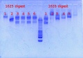 Thumbnail for version as of 13:52, 31 January 2013