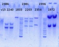 Thumbnail for version as of 18:18, 20 November 2014