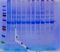 Thumbnail for version as of 18:38, 18 March 2011