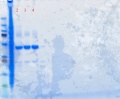 Thumbnail for version as of 11:57, 6 February 2012