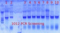 Thumbnail for version as of 10:44, 12 April 2012