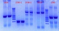 Thumbnail for version as of 17:18, 3 January 2013