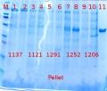 Thumbnail for version as of 15:51, 7 December 2012