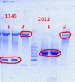 Thumbnail for version as of 15:17, 13 May 2014