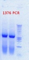 Thumbnail for version as of 16:13, 26 September 2012