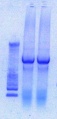Thumbnail for version as of 15:08, 4 February 2013