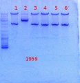 Thumbnail for version as of 13:43, 26 December 2013