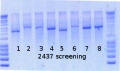 Thumbnail for version as of 15:24, 30 April 2015