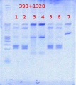Thumbnail for version as of 16:07, 16 August 2012