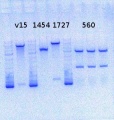 Thumbnail for version as of 15:42, 30 September 2013