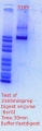 Thumbnail for version as of 18:17, 13 March 2018