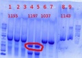 Thumbnail for version as of 10:23, 7 June 2012