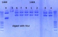 Thumbnail for version as of 11:55, 12 December 2012