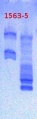 Thumbnail for version as of 15:27, 4 February 2013