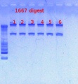 Thumbnail for version as of 14:34, 27 February 2013