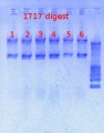 Thumbnail for version as of 10:50, 19 April 2013
