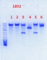 Thumbnail for version as of 11:10, 21 October 2013