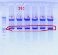 Thumbnail for version as of 15:13, 5 October 2011