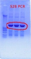 Thumbnail for version as of 10:16, 3 January 2012