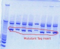 Thumbnail for version as of 14:18, 24 October 2011