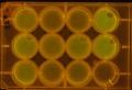 Thumbnail for version as of 17:48, 19 February 2011