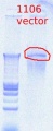 Thumbnail for version as of 14:54, 19 July 2012