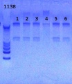 Thumbnail for version as of 12:03, 20 March 2013