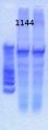 Thumbnail for version as of 15:12, 8 March 2013