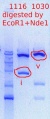 Thumbnail for version as of 15:27, 1 May 2012