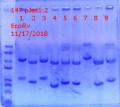 Thumbnail for version as of 23:40, 17 November 2018