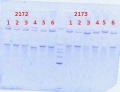 Thumbnail for version as of 13:44, 16 April 2014