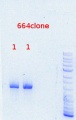 Thumbnail for version as of 13:23, 9 September 2013