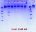 Thumbnail for version as of 13:25, 1 September 2017