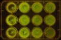 Thumbnail for version as of 10:13, 13 January 2012