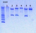 Thumbnail for version as of 14:24, 2 January 2013