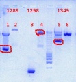 Thumbnail for version as of 16:22, 5 September 2012