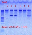 Thumbnail for version as of 15:37, 14 November 2012