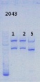 Thumbnail for version as of 12:11, 24 January 2014