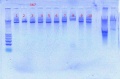 Thumbnail for version as of 14:41, 21 October 2011