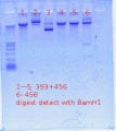 Thumbnail for version as of 17:01, 16 November 2011