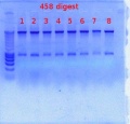 Thumbnail for version as of 09:53, 27 December 2011