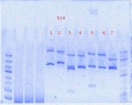 Thumbnail for version as of 09:00, 14 May 2012