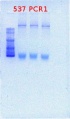 Thumbnail for version as of 10:14, 3 May 2012